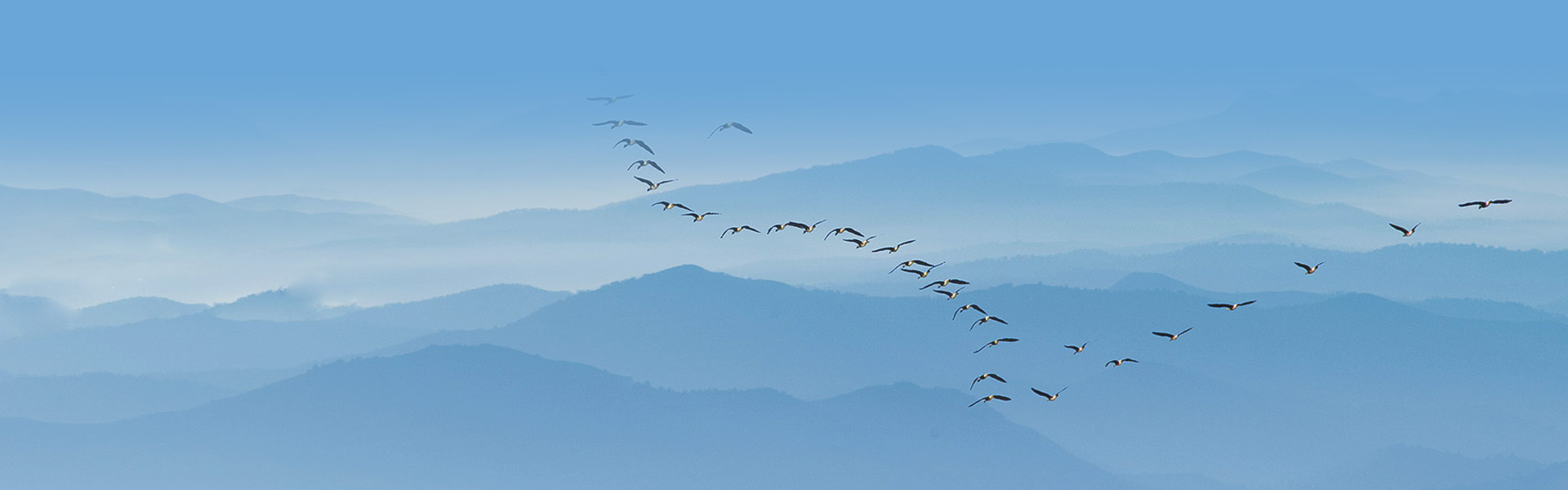 湖南中化地產(chǎn)有限公司