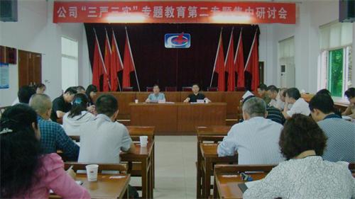 公司召開“三嚴(yán)三實(shí)”第二專題集中研討會