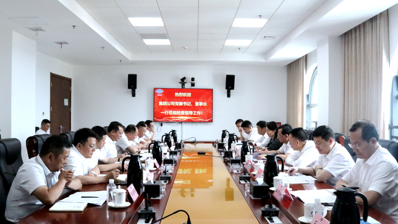 2022年6月，集團公司黨委書記、董事長戴和根一行到公司調(diào)研指導工作