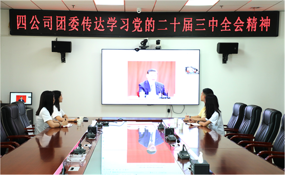 青春向黨 挺膺擔當 | 公司團員青年深入學習貫徹黨的二十屆三中全會精神、集團公司和公司系列重要會議精神